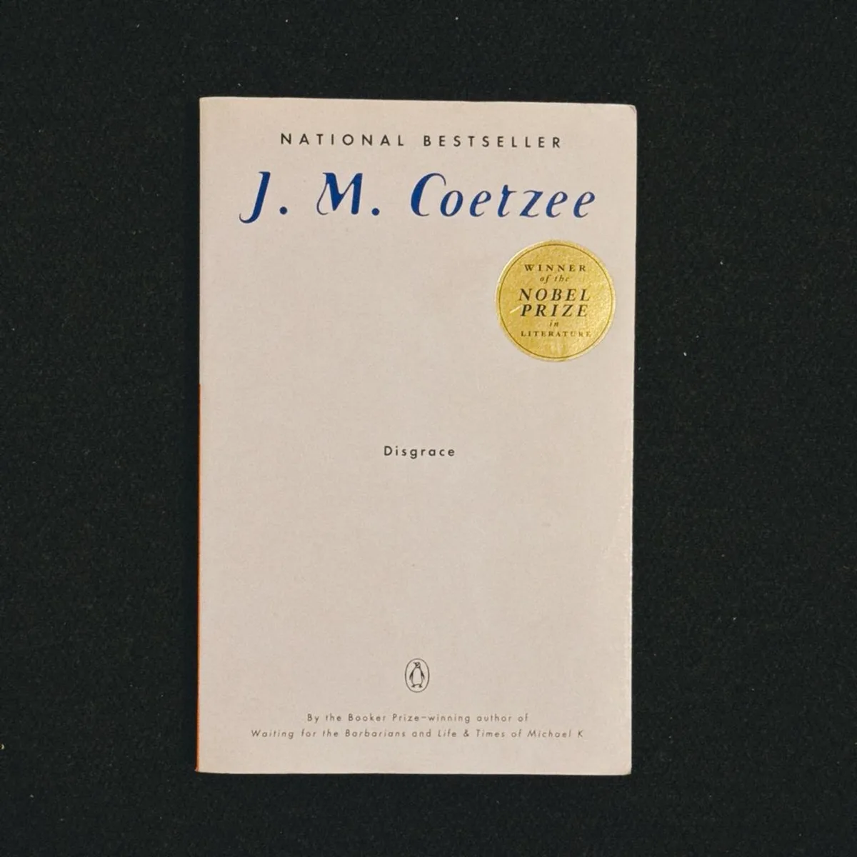 Disgrace by J. M. Coetzee