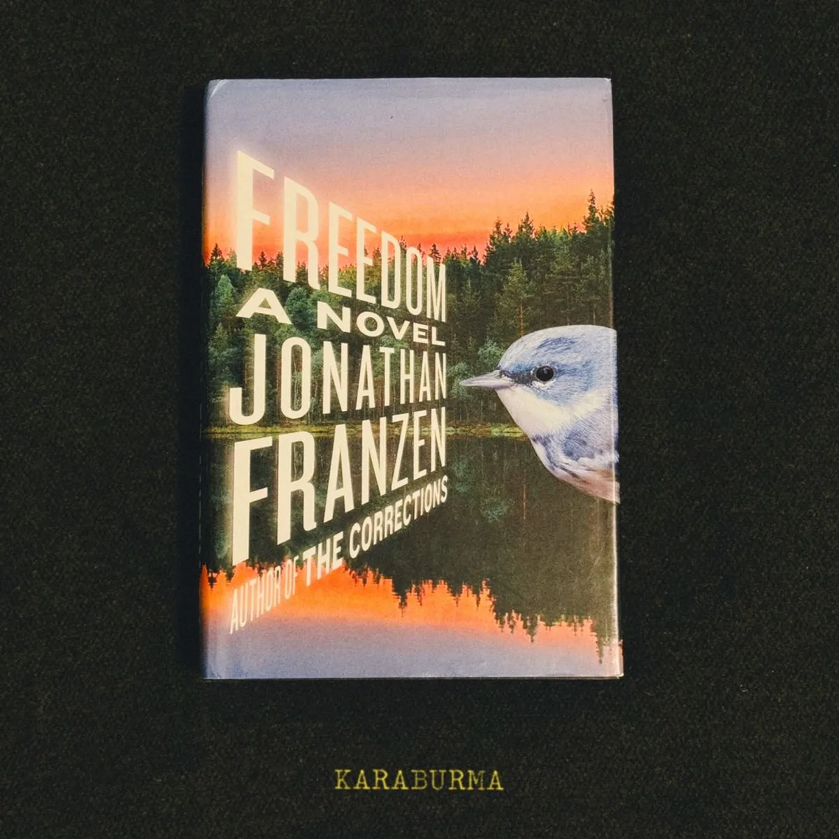 Freedom by Jonathan Franzen