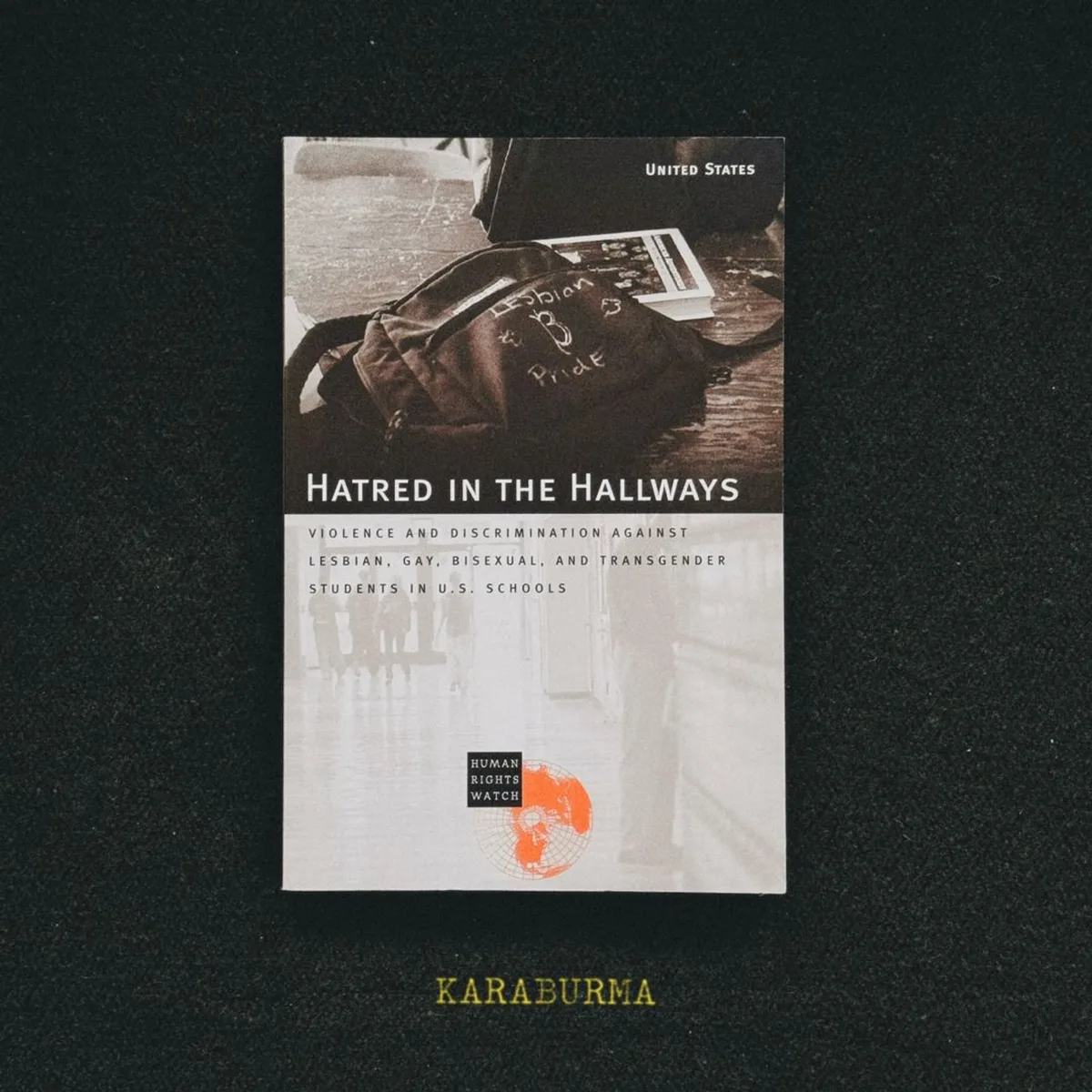 Hatred in the Hallways by Michael Bochenek