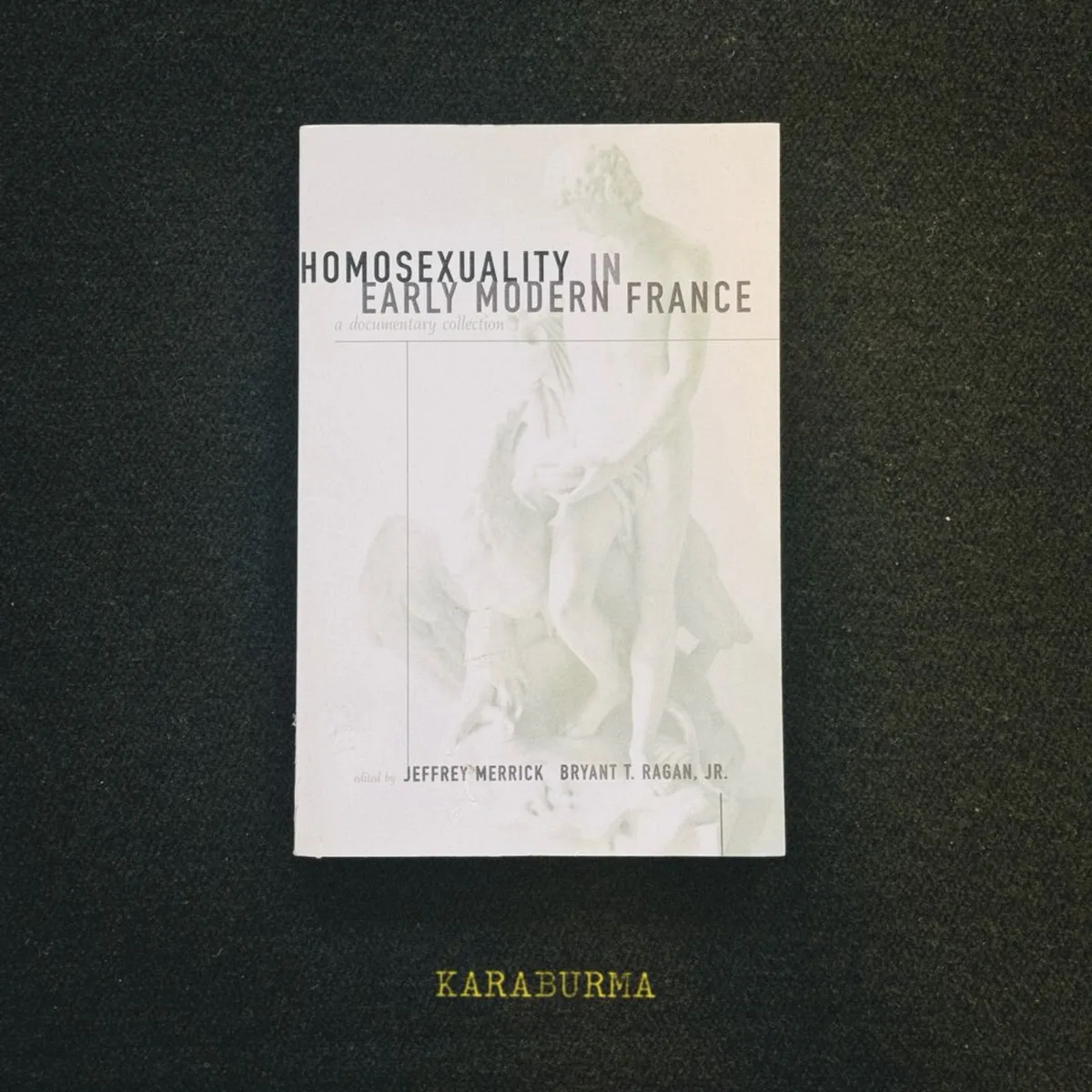 Homosexuality in Early Modern France by Jeffrey Merrick