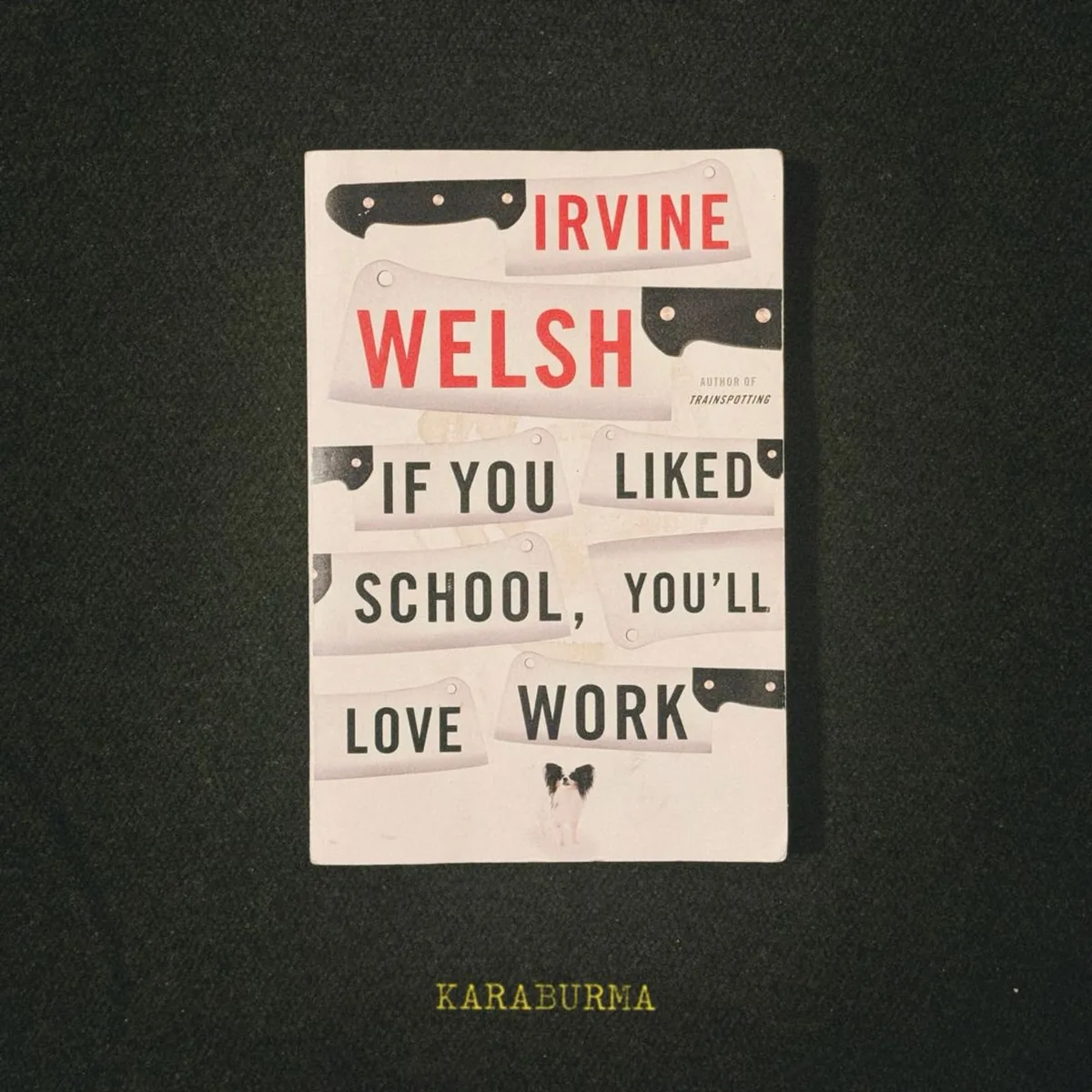 If You Liked School, You'll Love Work by Irvine Welsh