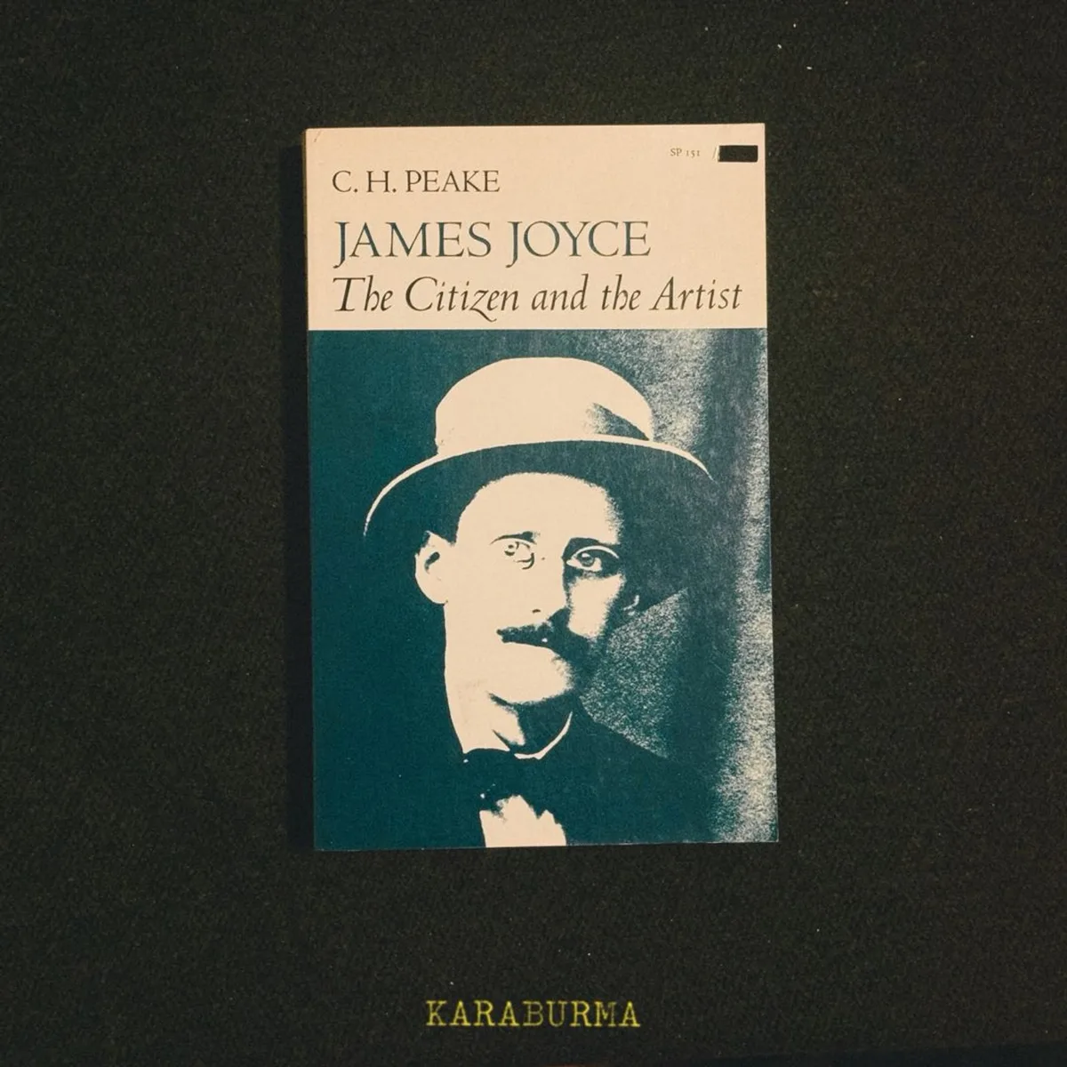 JAMES JOYCE The Citizen and the Artist by C. H. PEAKE