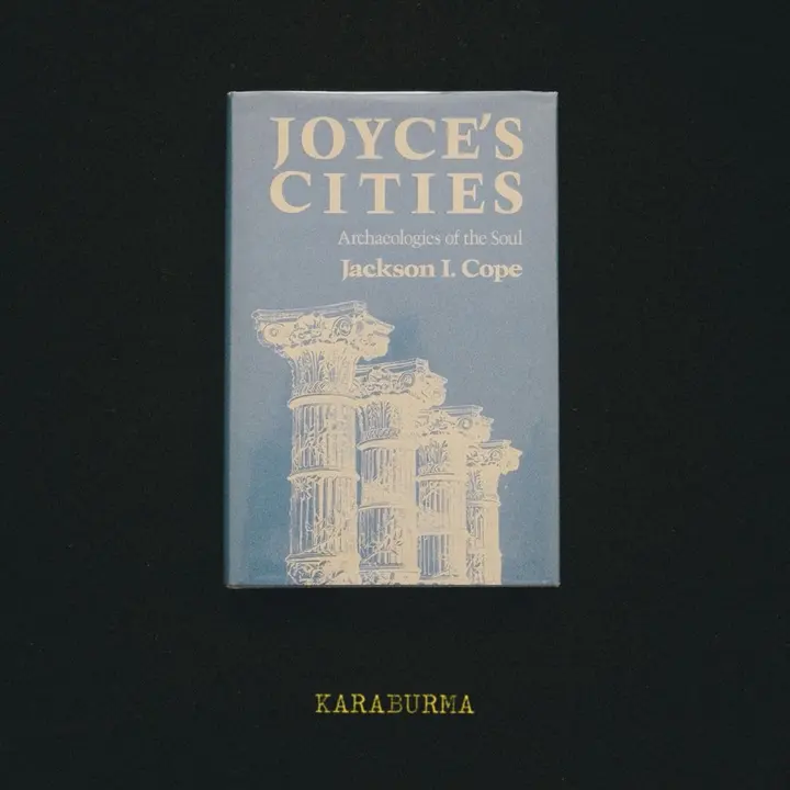 Joyce's Cities