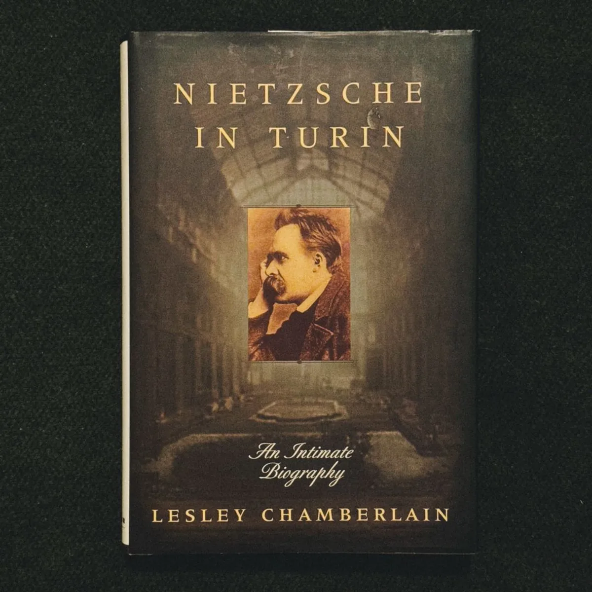 Nietzsche in Turin by Lesley Chamberlain