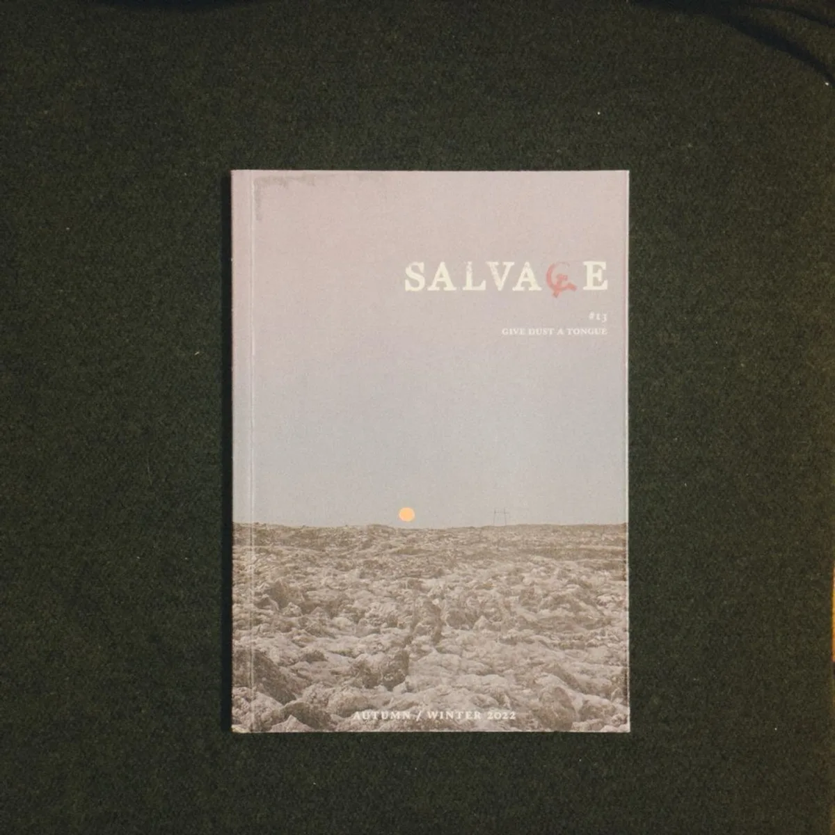 SALVAGE, #13 GIVE DUST A TONGUE by Peiodical Journal