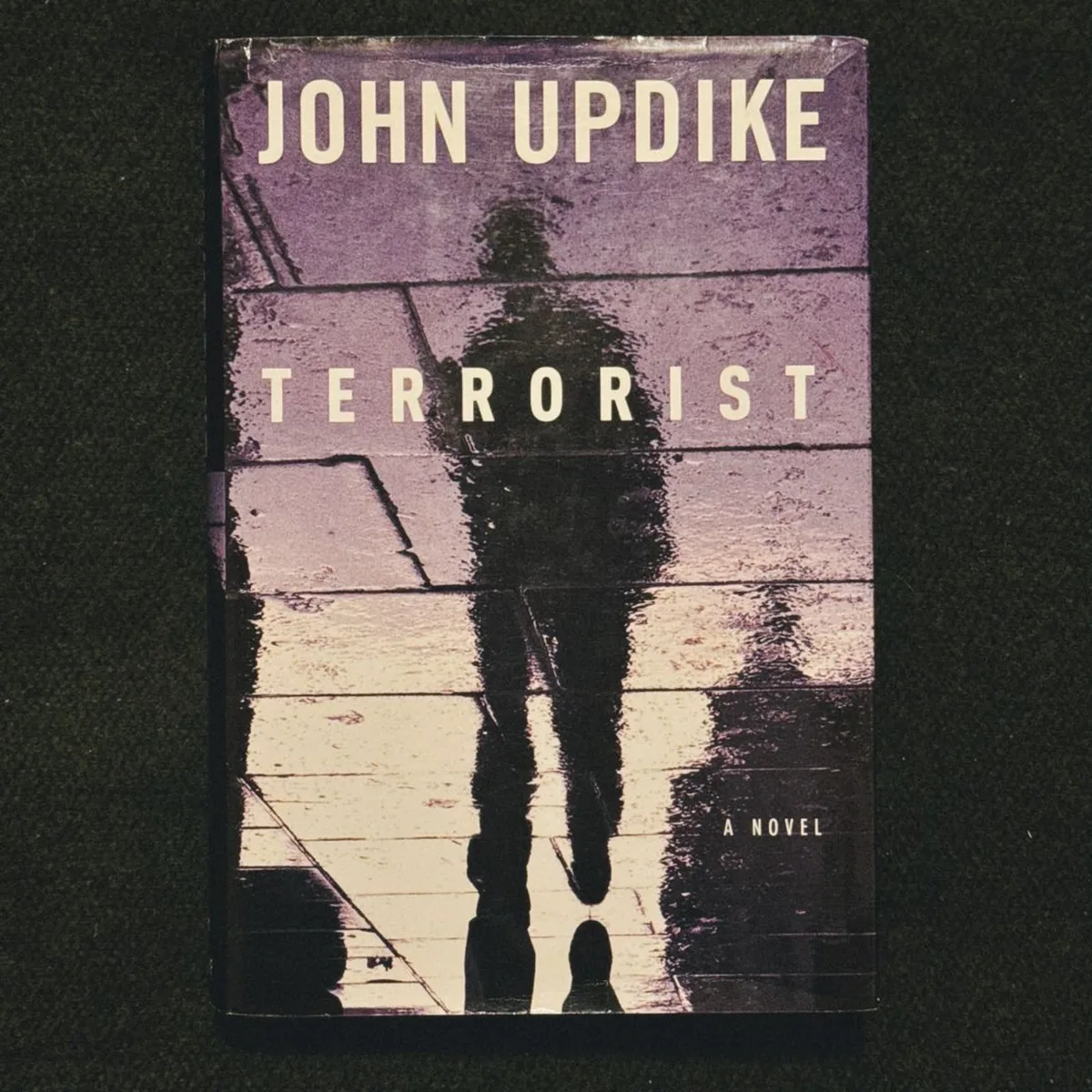 Terrorist by John Updike