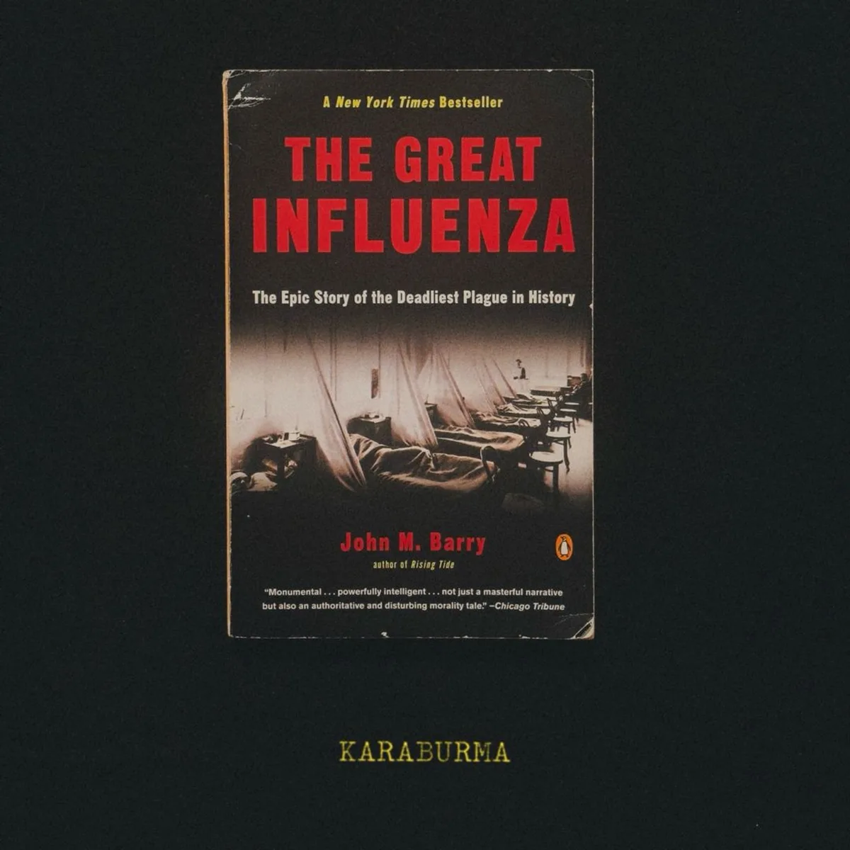 The Great Influenza by John M. Barry