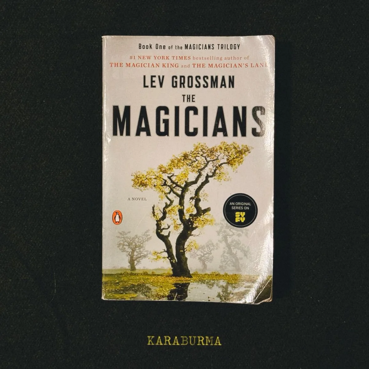 The Magicians by Lev Grossman