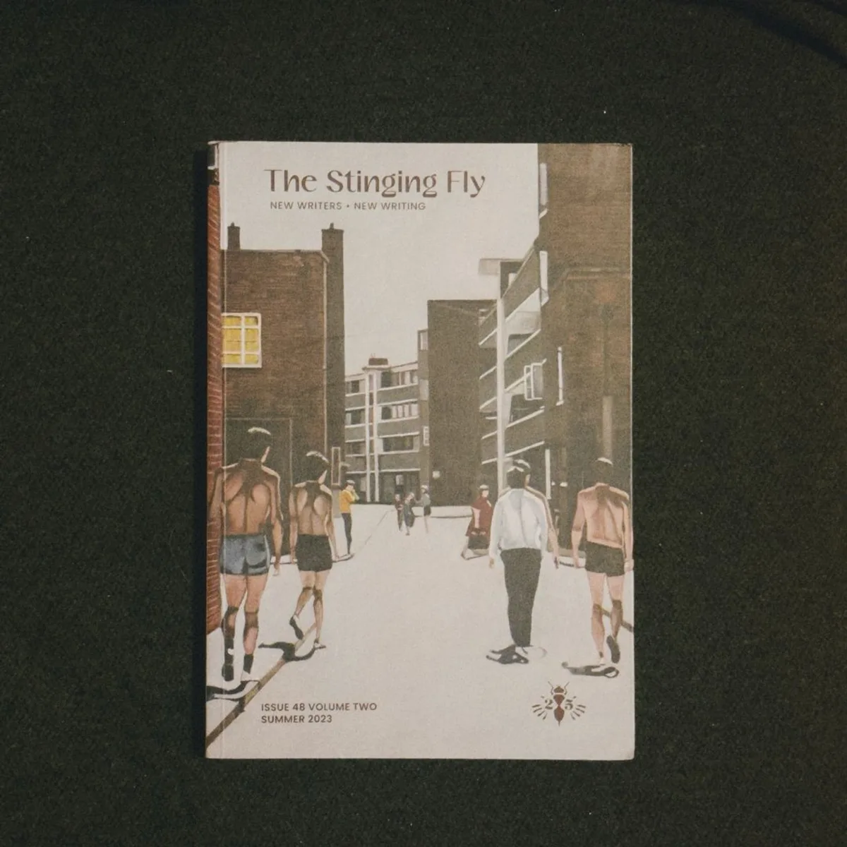The Stinging Fly, ISSUE 48 VOLUME TWO by Periodical journal